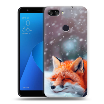 Пластиковый чехол на ASUS ZenFone Max Plus M1 с принтом лиса