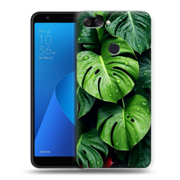 Пластиковый чехол на ASUS ZenFone Max Plus M1 с принтом Листья