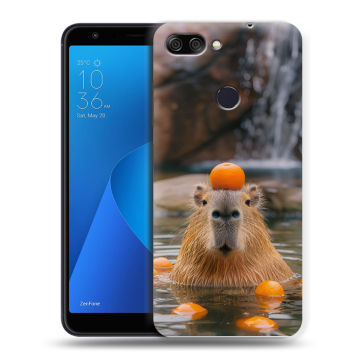 Пластиковый чехол на ASUS ZenFone Max Plus M1 с принтом Капибара с апельсином Пластиковый чехол на ASUS ZenFone Max Plus M1 с принтом Капибара с апельсином