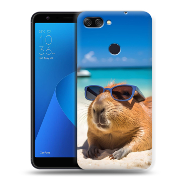 Пластиковый чехол на ASUS ZenFone Max Plus M1 с принтом Капибара Пластиковый чехол на ASUS ZenFone Max Plus M1 с принтом Капибара