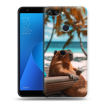 Пластиковый чехол на ASUS ZenFone Max Plus M1 с принтом Капибара Пластиковый чехол на ASUS ZenFone Max Plus M1 с принтом Капибара
