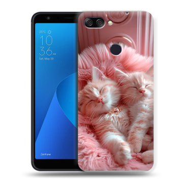 Пластиковый чехол на ASUS ZenFone Max Plus M1 с принтом котята котики Пластиковый чехол на ASUS ZenFone Max Plus M1 с принтом котята котики