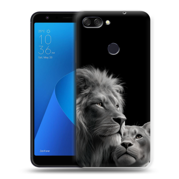 Пластиковый чехол на ASUS ZenFone Max Plus M1 с принтом Лев кошки