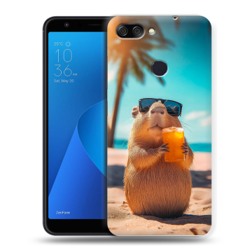 Пластиковый чехол на ASUS ZenFone Max Plus M1 с принтом Капибара