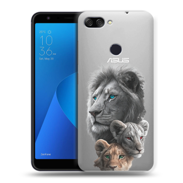 Пластиковый чехол на ASUS ZenFone Max Plus M1 с принтом Львы