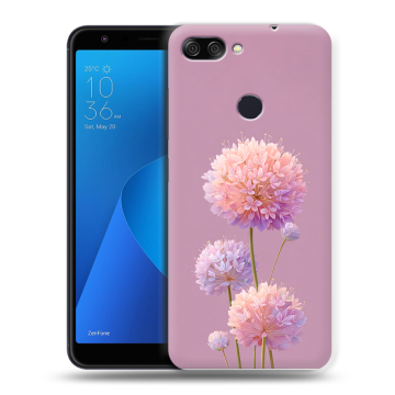 Пластиковый чехол на ASUS ZenFone Max Plus M1 с принтом Цветы Пластиковый чехол на ASUS ZenFone Max Plus M1 с принтом Цветы