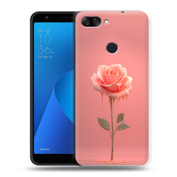 Пластиковый чехол на ASUS ZenFone Max Plus M1 с принтом Розовая роза