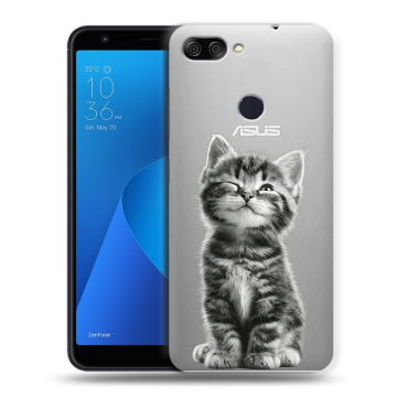 Пластиковый чехол на ASUS ZenFone Max Plus M1 с принтом Котенок