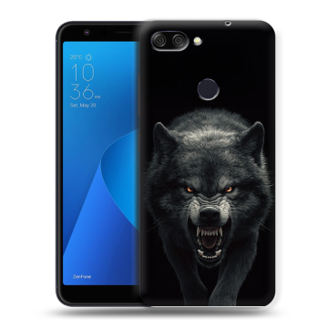 Пластиковый чехол на ASUS ZenFone Max Plus M1 с принтом Волк Пластиковый чехол на ASUS ZenFone Max Plus M1 с принтом Волк