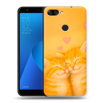 Пластиковый чехол на ASUS ZenFone Max Plus M1 с принтом Милые котята