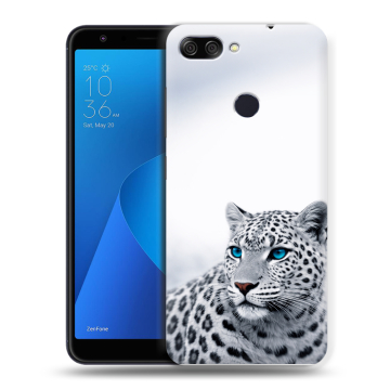 Пластиковый чехол на ASUS ZenFone Max Plus M1 с принтом женский
