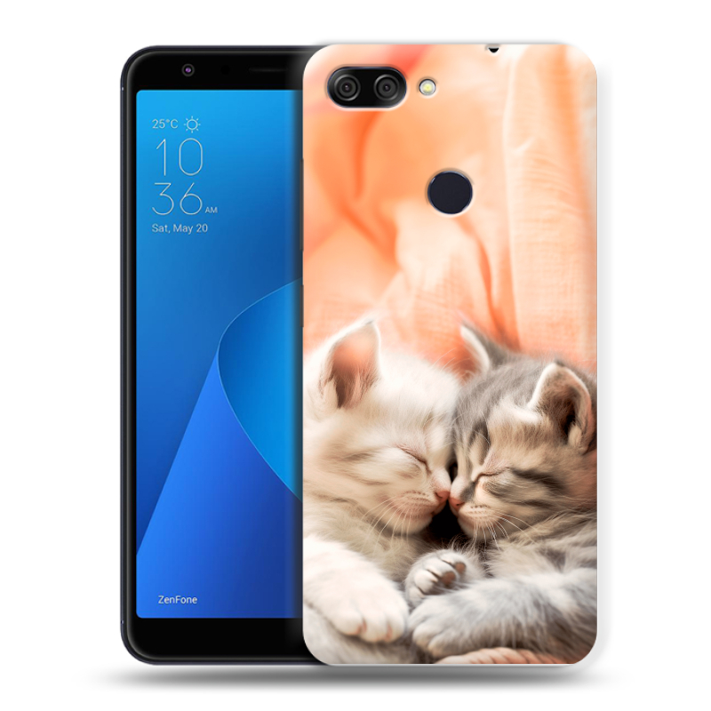 Пластиковый чехол на ASUS ZenFone Max Plus M1 с принтом Котята Пластиковый чехол на ASUS ZenFone Max Plus M1 с принтом Котята