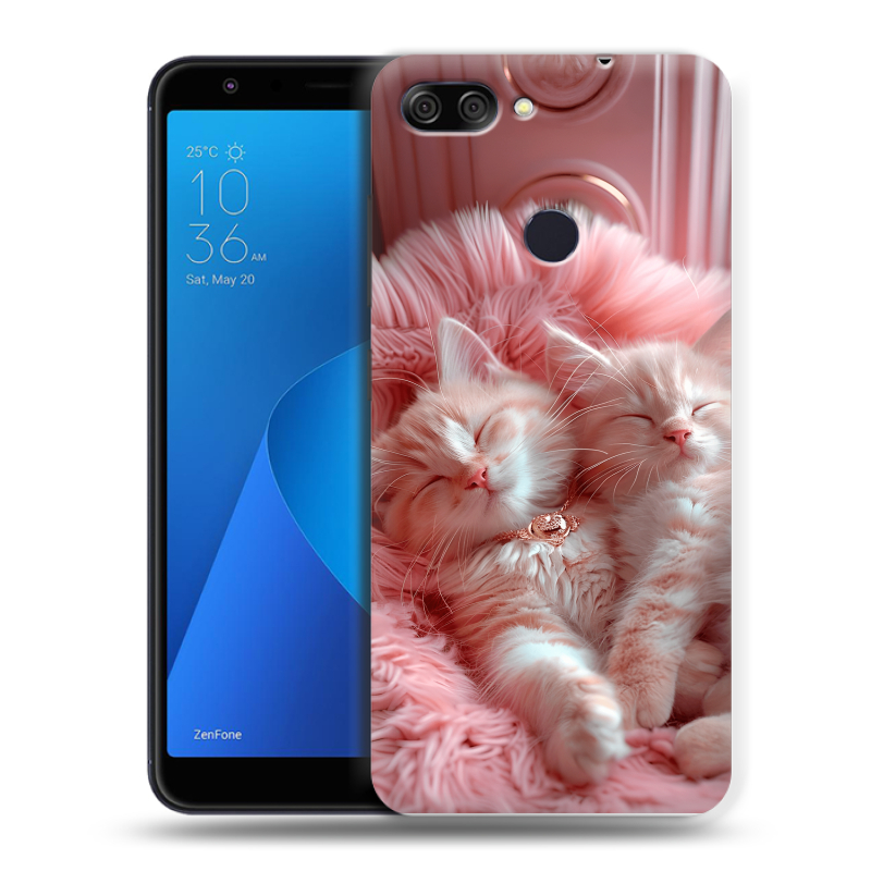 Пластиковый чехол на ASUS ZenFone Max Plus M1 с принтом котята котики Пластиковый чехол на ASUS ZenFone Max Plus M1 с принтом котята котики