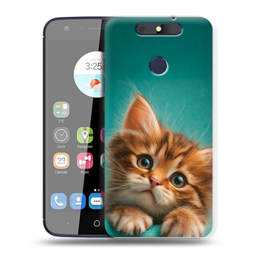 Силиконовый чехол на ZTE Blade V8C с принтом котенок Силиконовый чехол на ZTE Blade V8C с принтом котенок