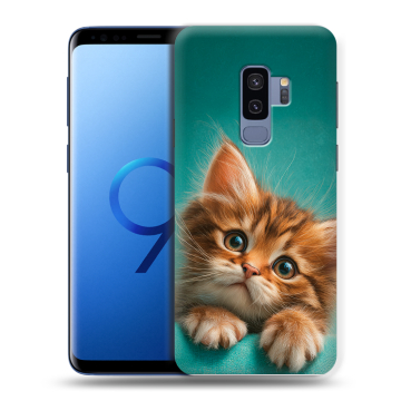 Силиконовый чехол на Samsung Galaxy S9 Plus с принтом котенок Силиконовый чехол на Samsung Galaxy S9 Plus с принтом котенок