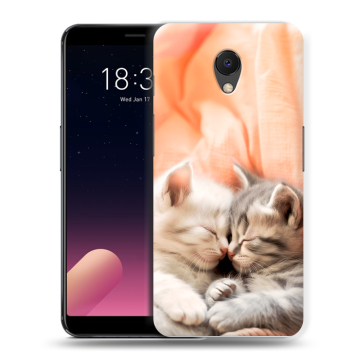 Силиконовый чехол на Meizu M6s с принтом Котята