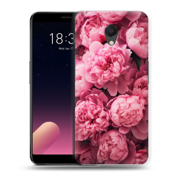 Силиконовый чехол на Meizu M6s с принтом цветы пионы