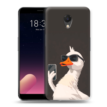 Силиконовый чехол на Meizu M6s с принтом утка в очках