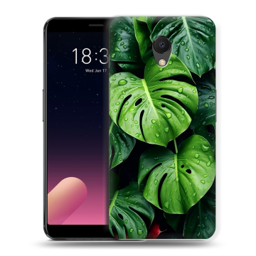 Силиконовый чехол на Meizu M6s с принтом Листья
