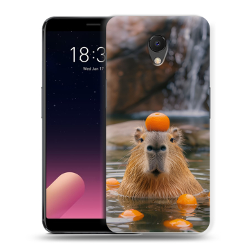 Силиконовый чехол на Meizu M6s с принтом Капибара с апельсином
