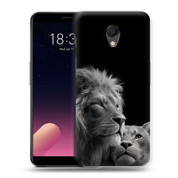 Силиконовый чехол на Meizu M6s с принтом Лев кошки