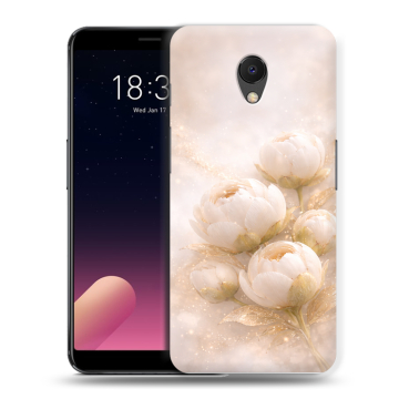 Силиконовый чехол на Meizu M6s с принтом женский