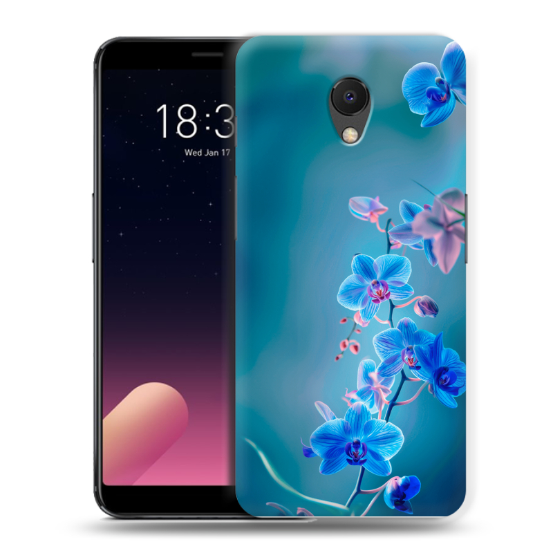Силиконовый чехол на Meizu M6s с принтом Голубые цветы Силиконовый чехол на Meizu M6s с принтом Голубые цветы