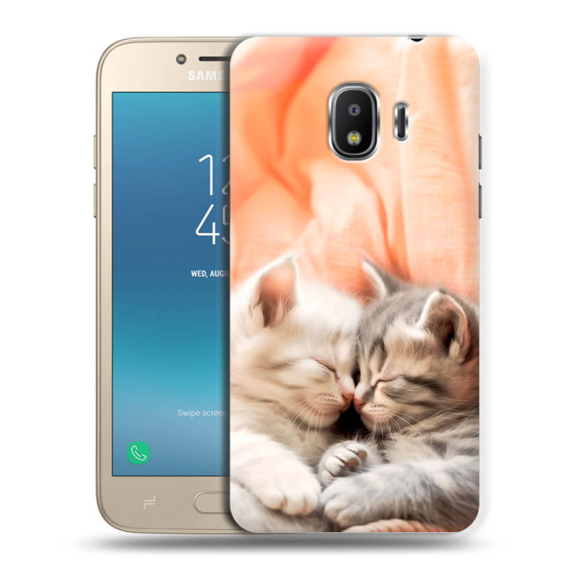 Пластиковый чехол на Samsung Galaxy J2 (2018) с принтом Котята Пластиковый чехол на Samsung Galaxy J2 (2018) с принтом Котята