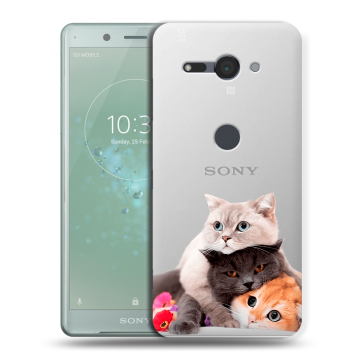 Силиконовый чехол на Sony Xperia XZ2 Compact с принтом Кошки Силиконовый чехол на Sony Xperia XZ2 Compact с принтом Кошки