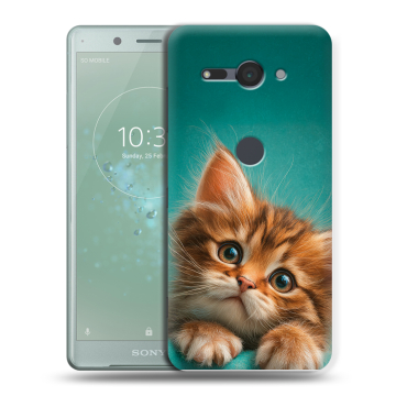 Силиконовый чехол на Sony Xperia XZ2 Compact с принтом котенок