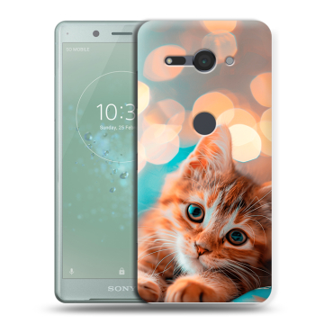 Силиконовый чехол на Sony Xperia XZ2 Compact с принтом котик Силиконовый чехол на Sony Xperia XZ2 Compact с принтом котик