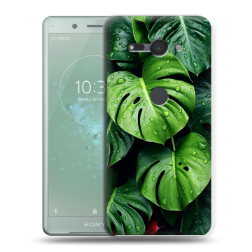 Силиконовый чехол на Sony Xperia XZ2 Compact с принтом Листья Силиконовый чехол на Sony Xperia XZ2 Compact с принтом Листья