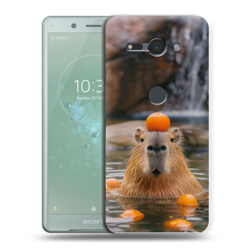 Силиконовый чехол на Sony Xperia XZ2 Compact с принтом Капибара с апельсином