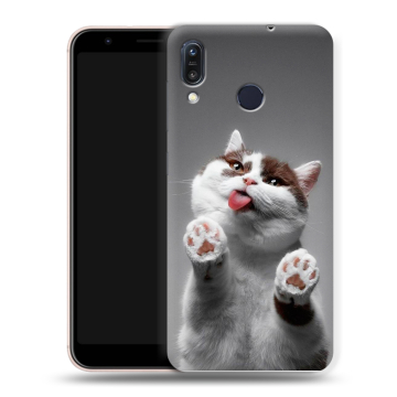 Силиконовый чехол на ASUS ZenFone Max M1 ZB555KL с принтом Коты Силиконовый чехол на ASUS ZenFone Max M1 ZB555KL с принтом Коты
