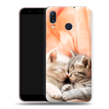Силиконовый чехол на ASUS ZenFone Max M1 ZB555KL с принтом Котята Силиконовый чехол на ASUS ZenFone Max M1 ZB555KL с принтом Котята