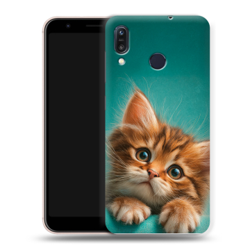 Силиконовый чехол на ASUS ZenFone Max M1 ZB555KL с принтом котенок Силиконовый чехол на ASUS ZenFone Max M1 ZB555KL с принтом котенок