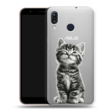 Силиконовый чехол на ASUS ZenFone Max M1 ZB555KL с принтом Котенок Силиконовый чехол на ASUS ZenFone Max M1 ZB555KL с принтом Котенок