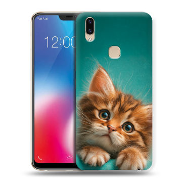 Силиконовый чехол на Vivo V9 с принтом котенок Силиконовый чехол на Vivo V9 с принтом котенок