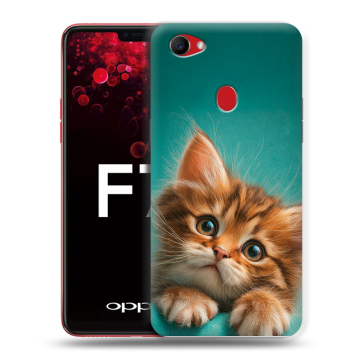Пластиковый чехол на OPPO F7 с принтом котенок Пластиковый чехол на OPPO F7 с принтом котенок