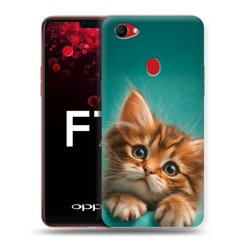 Пластиковый чехол на OPPO F7 с принтом котенок Пластиковый чехол на OPPO F7 с принтом котенок