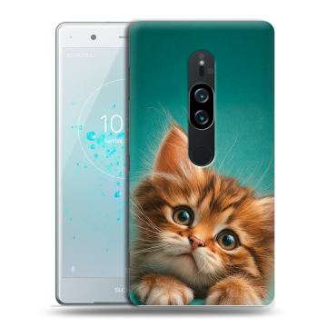 Пластиковый чехол на Sony Xperia XZ2 Premium с принтом котенок