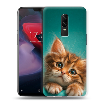Пластиковый чехол на OnePlus 6 с принтом котенок