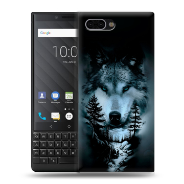 Пластиковый чехол на BlackBerry KEY2 с принтом Лесной волк Пластиковый чехол на BlackBerry KEY2 с принтом Лесной волк
