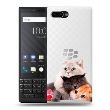 Пластиковый чехол на BlackBerry KEY2 с принтом Кошки Пластиковый чехол на BlackBerry KEY2 с принтом Кошки