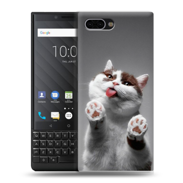 Пластиковый чехол на BlackBerry KEY2 с принтом Коты Пластиковый чехол на BlackBerry KEY2 с принтом Коты