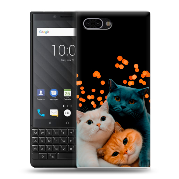 Пластиковый чехол на BlackBerry KEY2 с принтом Кошки Пластиковый чехол на BlackBerry KEY2 с принтом Кошки