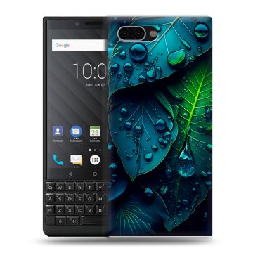 Пластиковый чехол на BlackBerry KEY2 с принтом Листья Пластиковый чехол на BlackBerry KEY2 с принтом Листья