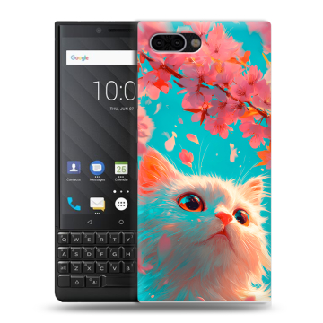 Пластиковый чехол на BlackBerry KEY2 с принтом Красивый кот