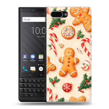 Пластиковый чехол на BlackBerry KEY2 с принтом Новый год