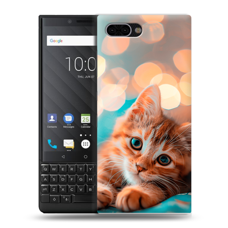Пластиковый чехол на BlackBerry KEY2 с принтом котик Пластиковый чехол на BlackBerry KEY2 с принтом котик
